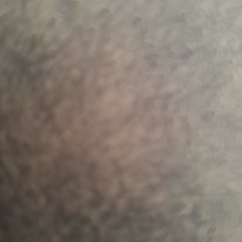 Pareotr Yanıltıyor