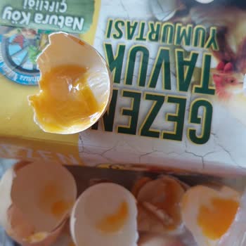 Migros Yumurtası Çürümüş Ve Cenin Olmuş