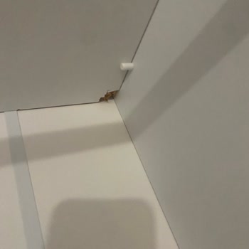 Vivense Dolap Nasıl Kurulamaz Nasıl Fiyasko Olunur