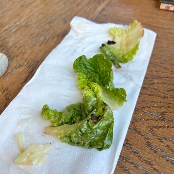 Big Chefs İzmir Ege Perla Keçi Peynirli Salatadaki Topraklar