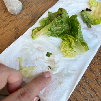 Big Chefs İzmir Ege Perla Keçi Peynirli Salatadaki Topraklar