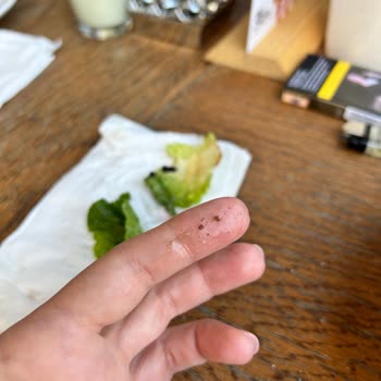 Big Chefs İzmir Ege Perla Keçi Peynirli Salatadaki Topraklar