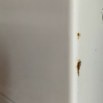 Grundig Çamaşır Ve Bulaşık Makinesinin Çözümü İçin Destek İstiyoruz