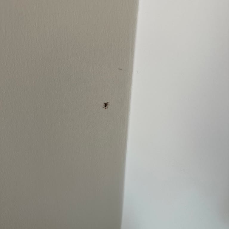 Zigana Otel Memnuniyetsizlik!