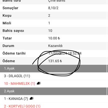 Türkiye Jokey Kulübü (tjk) Eksik Para Yatırıldı