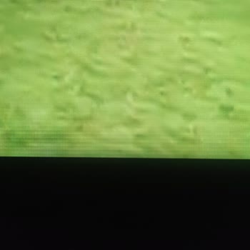 LG TV LED/Panel Lekelenmesi (43NANO756PA)