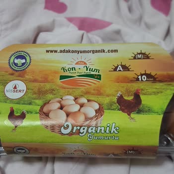 A101 Karasu Papatya Şube