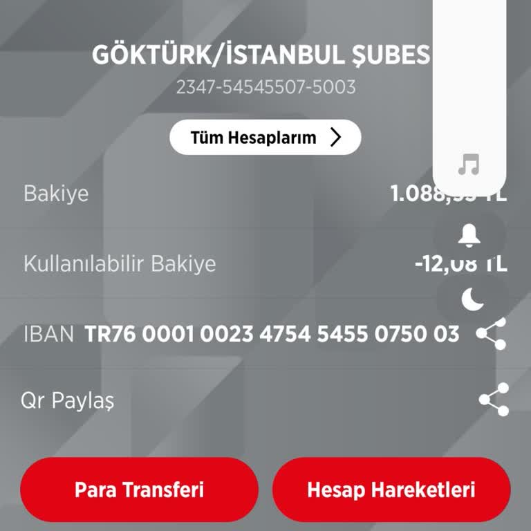 Merkez Bankası İstanbul Ziraat Bankası Bloke Kaldırma Talebi