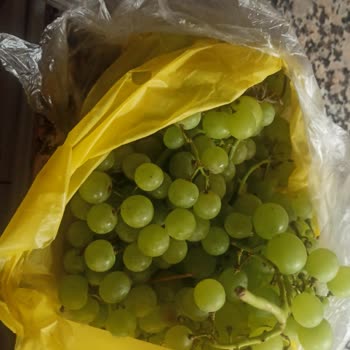 Migros Üzüm Ve Karpuz Çok Kötü!