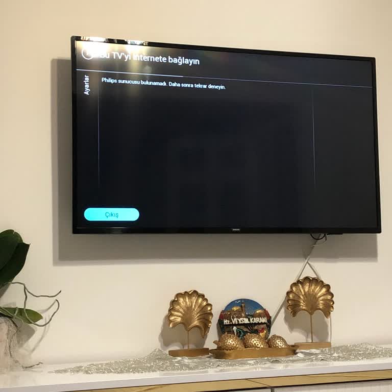 PHILIPS TV Philips Güncelleme Hatası