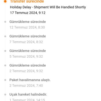 Temu Siparişim Gümrükte Takıldı