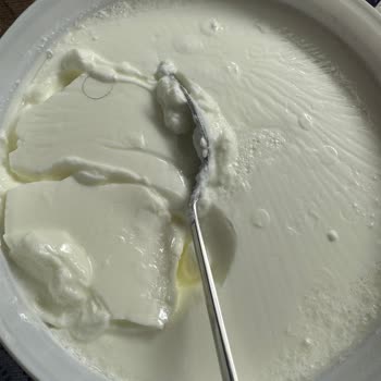 Migros Yoğurt Balkan Ltd Şti