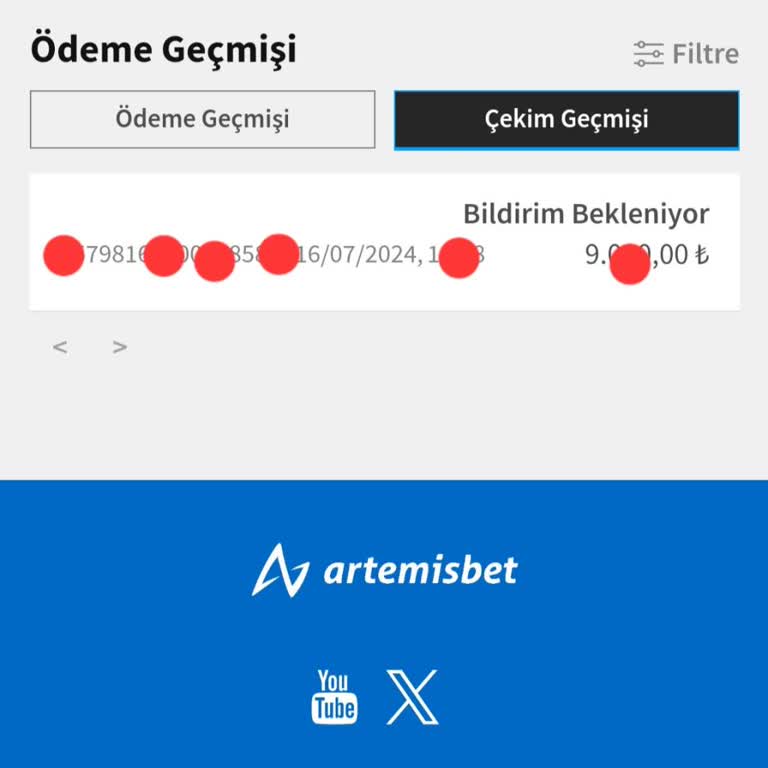 Artemisbet Paraya El Koydu