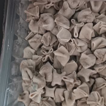 Başak Gıda Ekmecik Dondurucuda Duran Mantı Küflenmiş