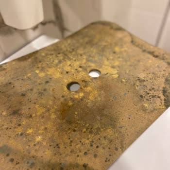 English Home Bambu Kirli Sepeti Küf İçinde