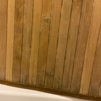 English Home Bambu Kirli Sepeti Küf İçinde