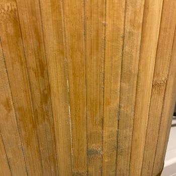 English Home Bambu Kirli Sepeti Küf İçinde