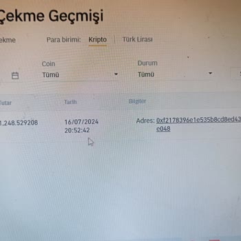 Bscscan Üzerinden Dolar Transfer