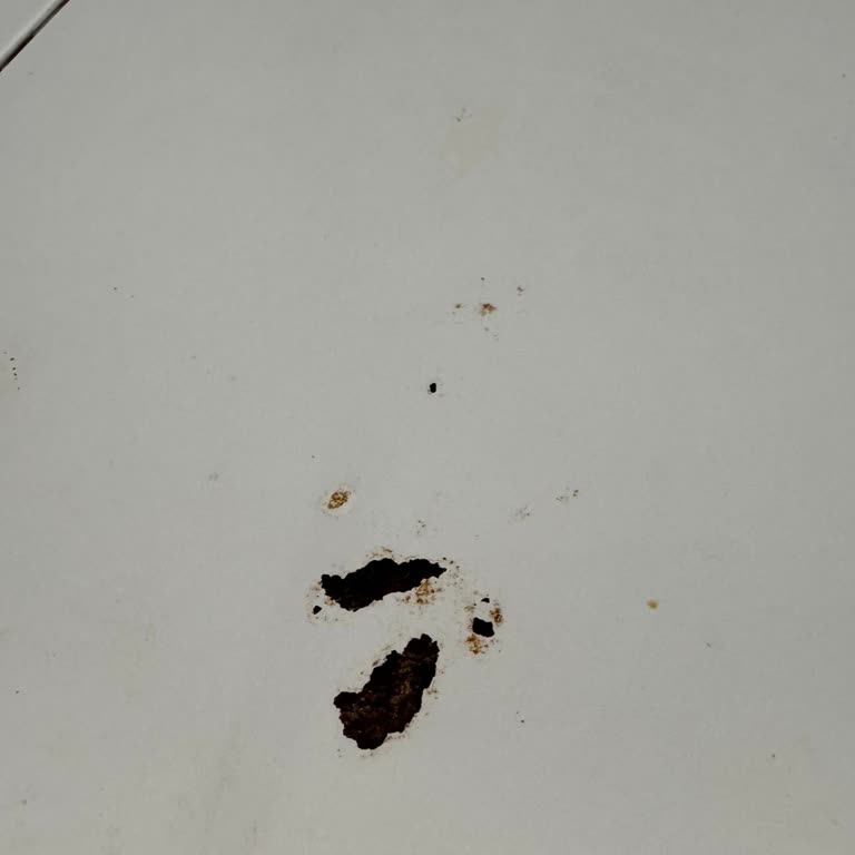 Regal Garantili Buzdolabı Paslandı! Genel Müdürlük Para İstiyor!