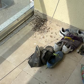 KYK Odalarının Temizlenmemesi