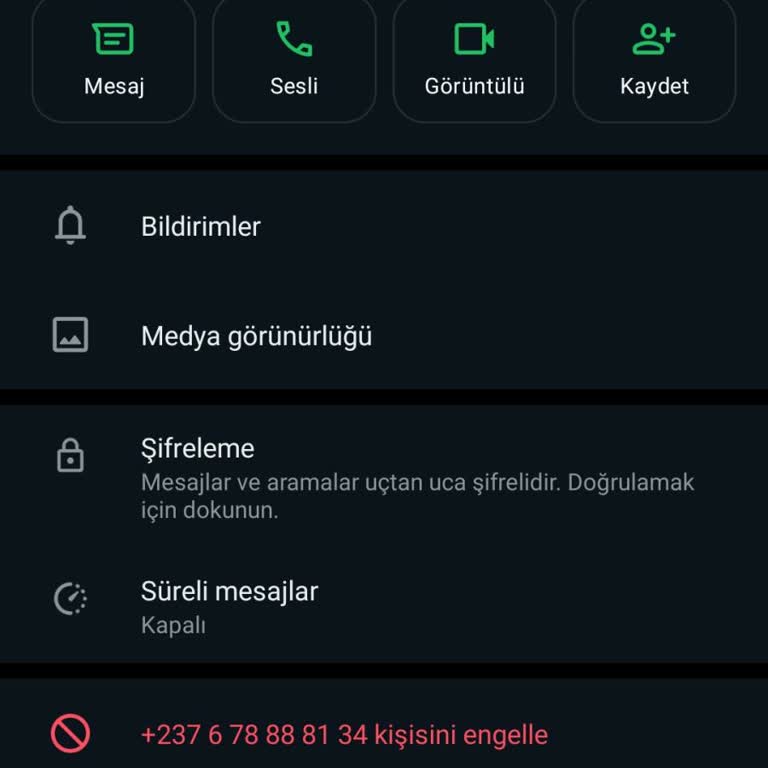 WhatsApp +237 6 78 88 81 34 Numaradan Gece Vakti WhatsApp Sesli Araması
