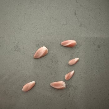 Queen Nail Ankara Queen Nail Salon Şikayet