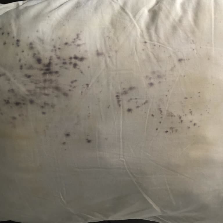 Inn House Loft Spa Inn House'ta Küflenmiş Yastıkta Yattım, Nevresim Vermediler