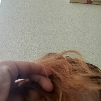 Palette 8-77 Bakır Tarçın