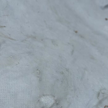 AutoEn Motorsiklet Branda Yüzey Ayrışması/yırtılması