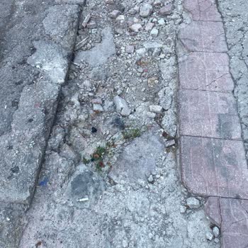 Şikayet Ve İstek Keçiören Belediyesi