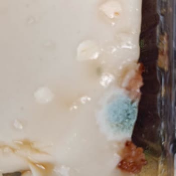 BİM Tarihi Geçmiş Ürünler Raflarda Duruyor!