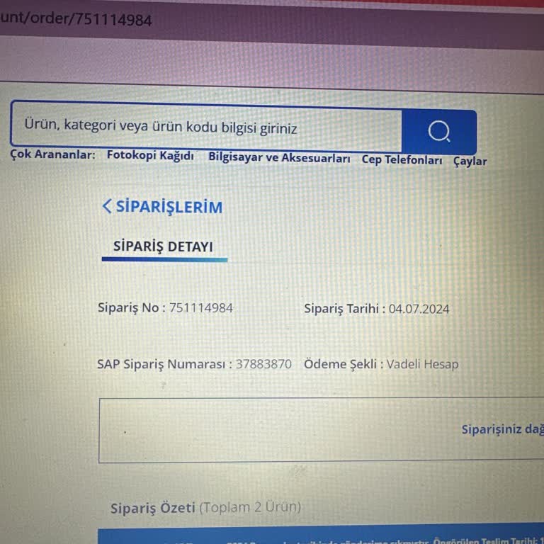Avansaspro.com Avansas'ın Bitmeyen Sorunları