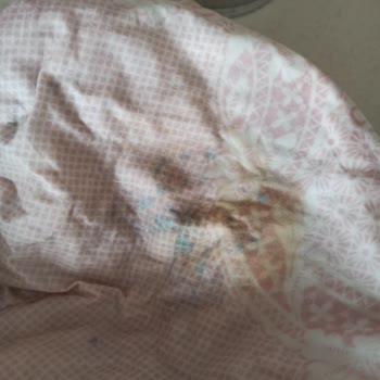 The Elite Home Leke Çıkarmıyor!