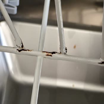 Beko D3 3001 Sepetlerinin Paslanması.