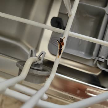 Beko D3 3001 Sepetlerinin Paslanması.