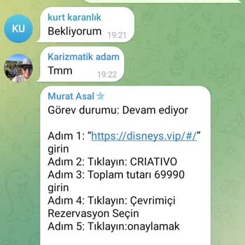 Telegram Disney's VIP Bilet İadesi Ve Kayıp Para Sorunu