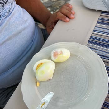 Yumurtacım Yumurtalardaki Sarı Lekeler
