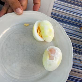 Yumurtacım Yumurtalardaki Sarı Lekeler