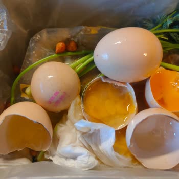 Carrefour SA Marketten Alınan Bozuk Yumurtalar