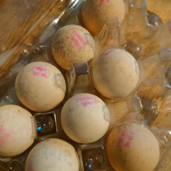 Carrefour SA Marketten Alınan Bozuk Yumurtalar