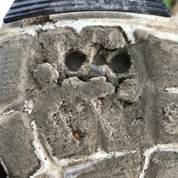 Skechers Bir Müşteri Kaybının Başlangıcı