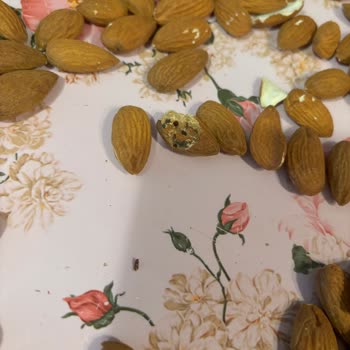 Çitlekçi Kuruyemiş Ürünlerinde Kalite Sorunları