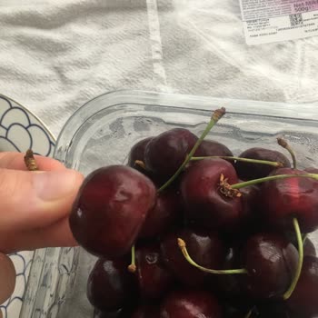 Kuşadası Marina Migros'ta Satılan Çürük Kirazlar