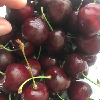 Kuşadası Marina Migros'ta Satılan Çürük Kirazlar