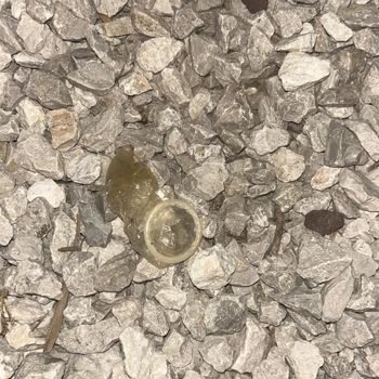 Collesium Garden Sinek Böcekten Oturulmuyor Ve Temiz Değil