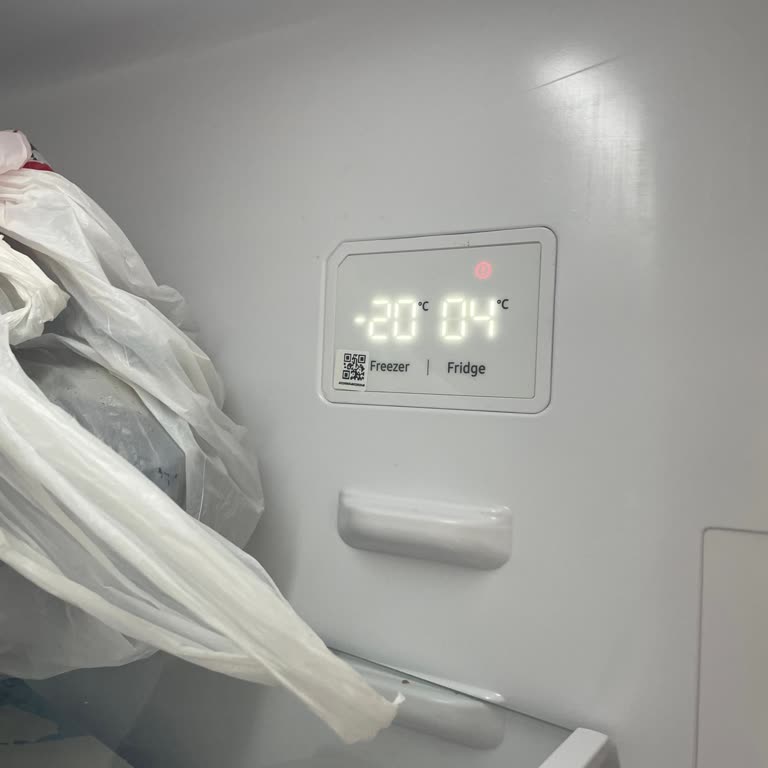 Samsung Kimse Neden İlgilenmiyor