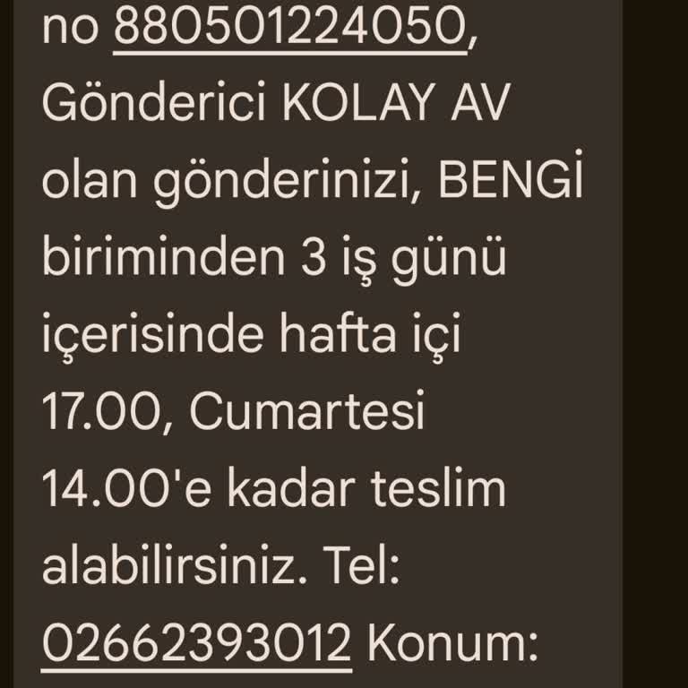 MNG Kargo Paketi Teslimata Çıkartmıyor