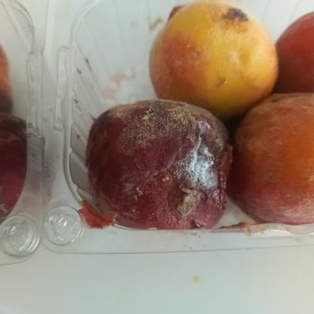 Getir Büyük Ve Çürük Meyveler