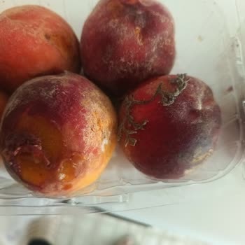 Getir Büyük Ve Çürük Meyveler