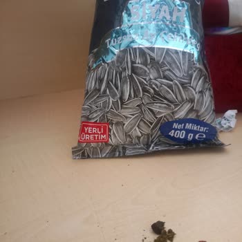 Amigo Çekirdek Hayvan Dışkısı Çıktı